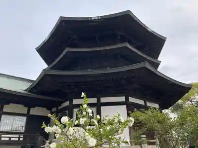 斑鳩寺のその他建物