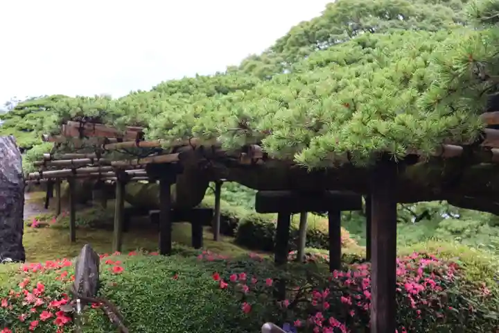 善峯寺(京都府)