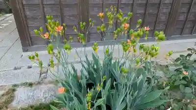 香雪院(京都府)