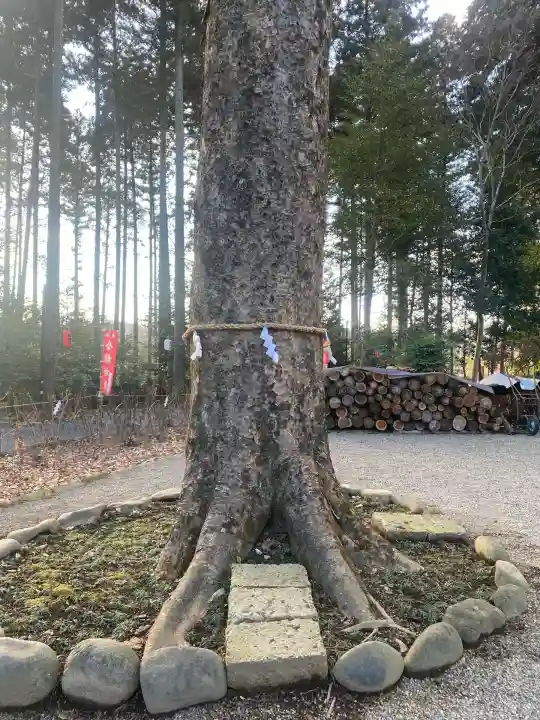 芳賀天満宮(栃木県)
