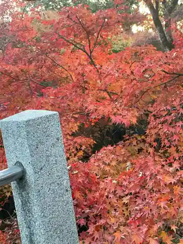 東福禅寺（東福寺）(京都府)