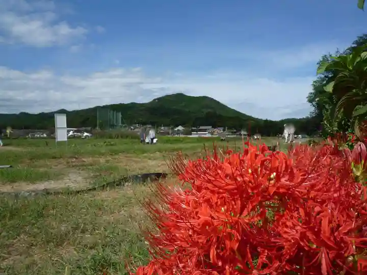 金刀比羅神社の周辺
