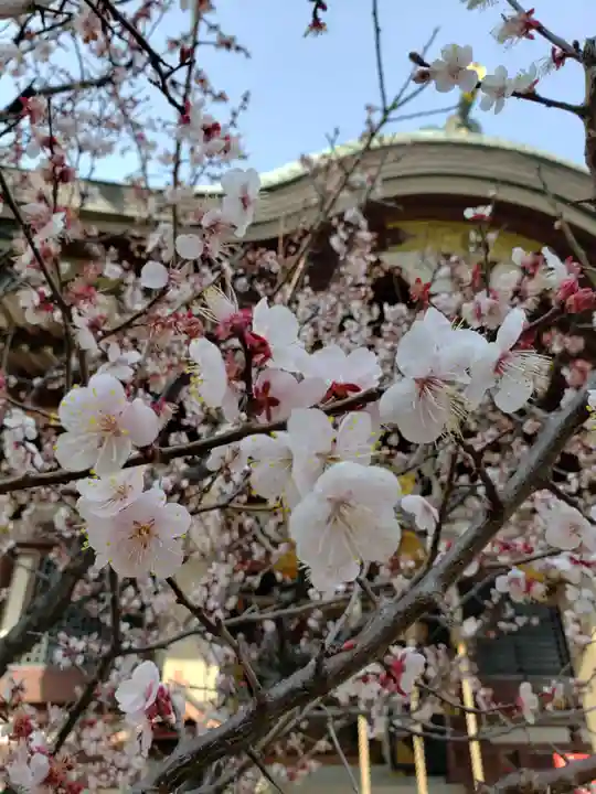 諏訪神社(東京都)