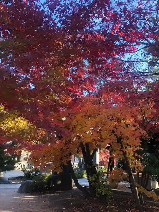 四柱神社(長野県)