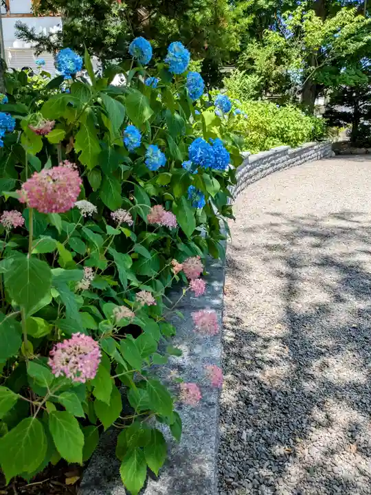 西野神社(北海道)