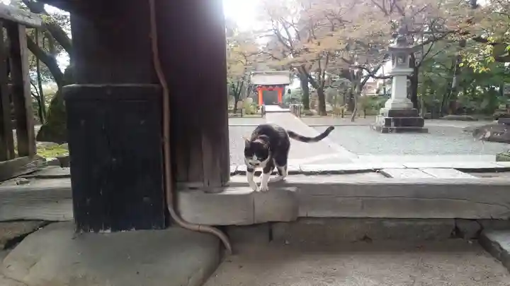 恵林寺(山梨県)