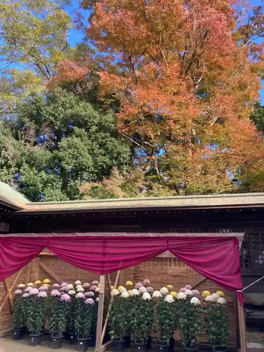 常陸國總社宮(茨城県)