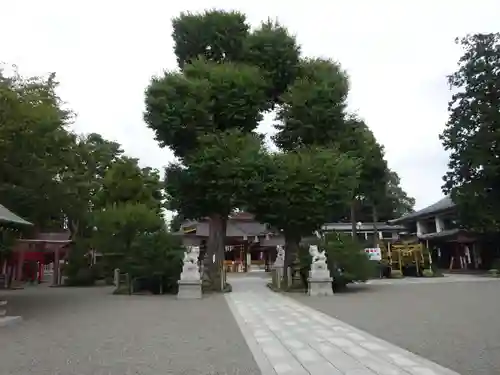 亀ケ池八幡宮の自然