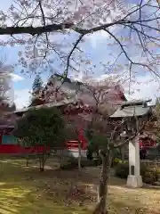 宮城縣護國神社の自然