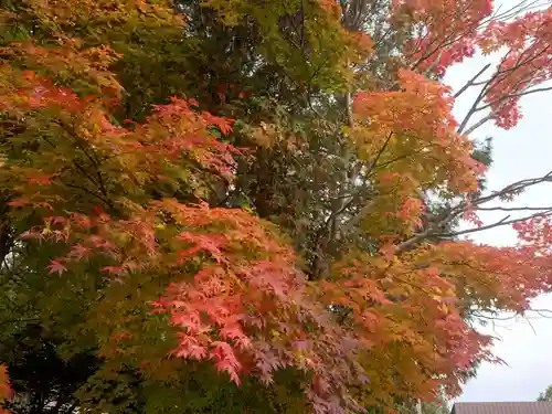 早来神社(北海道)
