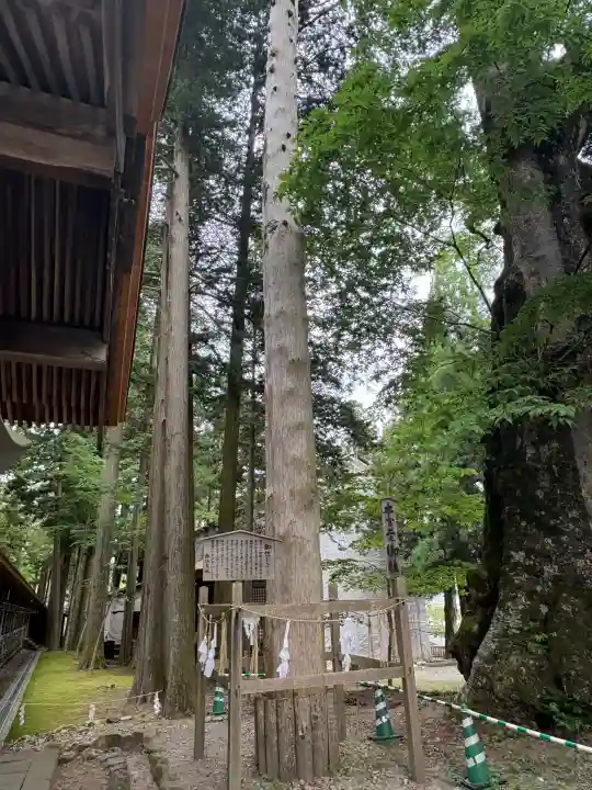 諏訪大社(長野県)