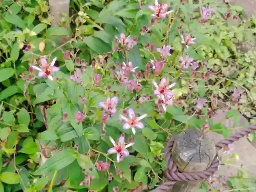 常泉寺(神奈川県)