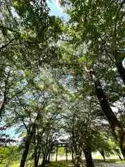 子檀嶺神社(長野県)