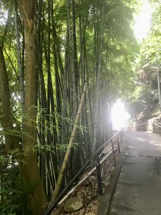 大船観音寺(神奈川県)