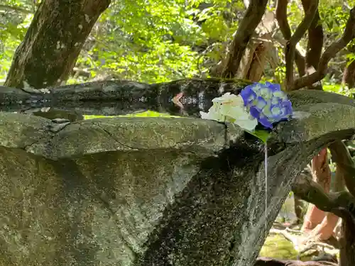 法然院(京都府)