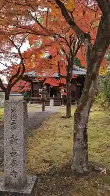 新長谷寺(京都府)