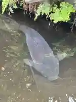 天祖諏訪神社(東京都)