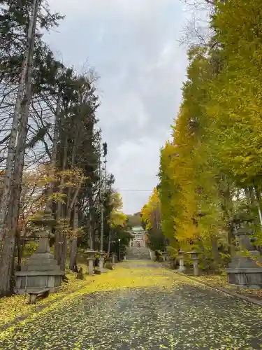 住吉神社の{uncategorized: "未分類", other: "その他", undefined: "問題あり", building: "その他建物", grave: "お墓", sacred_gate: "鳥居", guardian: "狛犬", statue: "像", buddha: "仏像", history: "歴史", nature: "自然", garden: "庭園", animal: "動物", pagoda: "塔", temizu: "手水舎", mountain_gate: "山門・神門", sanctuary: "本殿・本堂", subordinate: "末社・摂社", art: "芸術", scenery: "景色", jizo: "地蔵", ema: "絵馬", goshuin: "御朱印", omikuji: "おみくじ", items: "授与品その他", amulet: "お守り", goshuincho: "御朱印帳", eats: "食事", festival: "お祭り", votive_dance: "神楽", shichigosan: "七五三参", wedding: "結婚式", experience: "体験その他", initially: "初詣", around: "周辺", anti_infection: "感染症対策"}