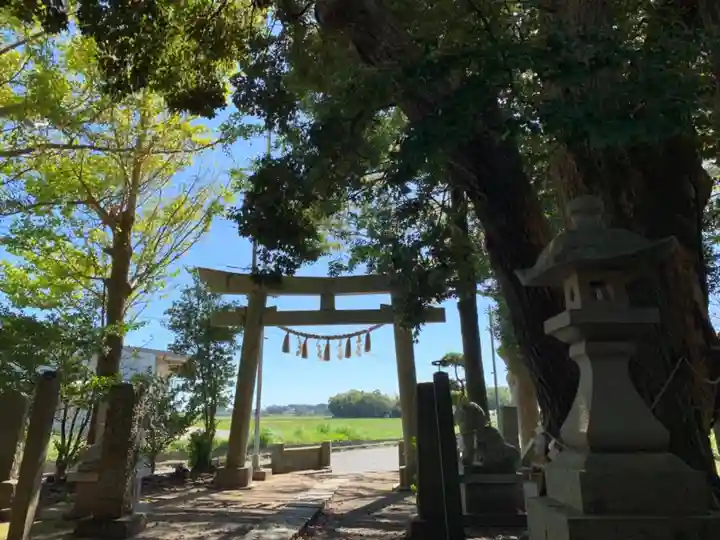 八幡神社の鳥居