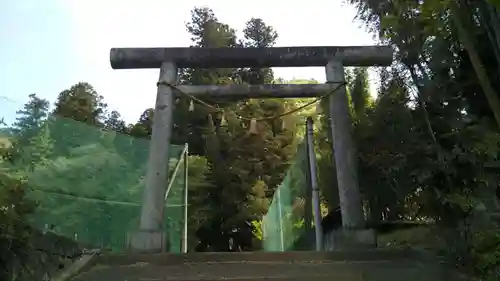 諏訪神社の鳥居