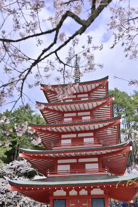 新倉富士浅間神社(山梨県)