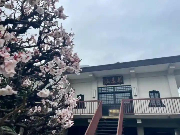 正法寺の{uncategorized: "未分類", other: "その他", undefined: "問題あり", building: "その他建物", grave: "お墓", sacred_gate: "鳥居", guardian: "狛犬", statue: "像", buddha: "仏像", history: "歴史", nature: "自然", garden: "庭園", animal: "動物", pagoda: "塔", temizu: "手水舎", mountain_gate: "山門・神門", sanctuary: "本殿・本堂", subordinate: "末社・摂社", art: "芸術", scenery: "景色", jizo: "地蔵", ema: "絵馬", goshuin: "御朱印", omikuji: "おみくじ", items: "授与品その他", amulet: "お守り", goshuincho: "御朱印帳", eats: "食事", festival: "お祭り", votive_dance: "神楽", shichigosan: "七五三参", wedding: "結婚式", experience: "体験その他", initially: "初詣", around: "周辺", anti_infection: "感染症対策"}