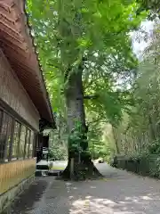 乙姫神社(熊本県)