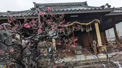 勝龍寺の本殿・本堂