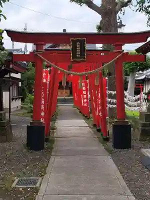於菊稲荷神社(群馬県)