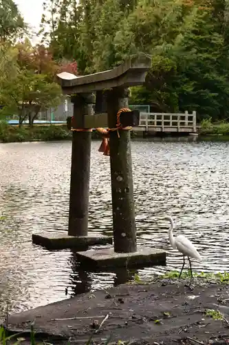 天祖神社(大分県)