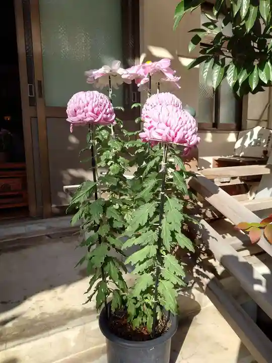 秋葉神社(新潟県)