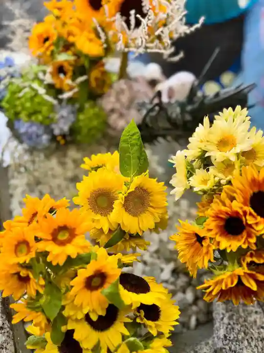 札幌諏訪神社の手水舎