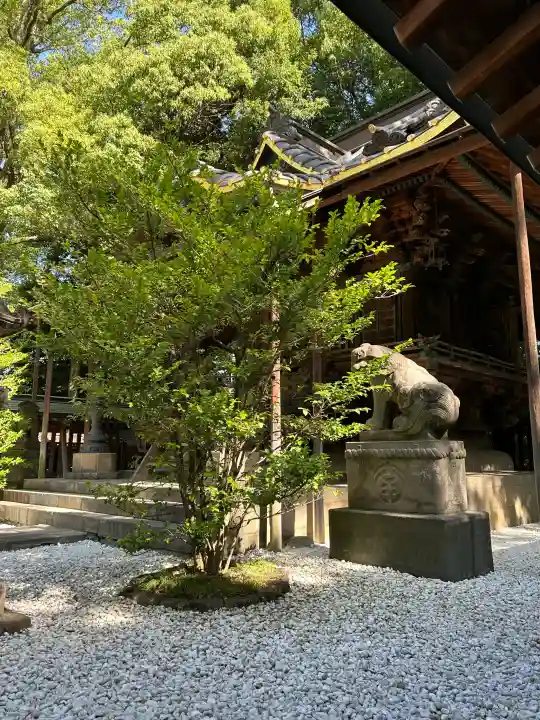 川越氷川神社(埼玉県)