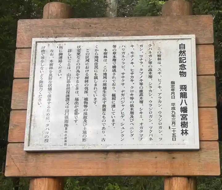 飛龍八幡宮(山口県)
