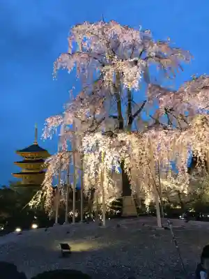東寺（教王護国寺）(京都府)