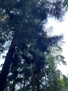 大宮温泉神社(栃木県)(2023年08月26日(土) 08時12分49秒投稿)