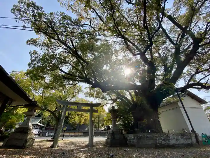 闘鶏神社(和歌山県)