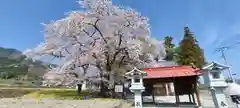 武田廣神社の自然