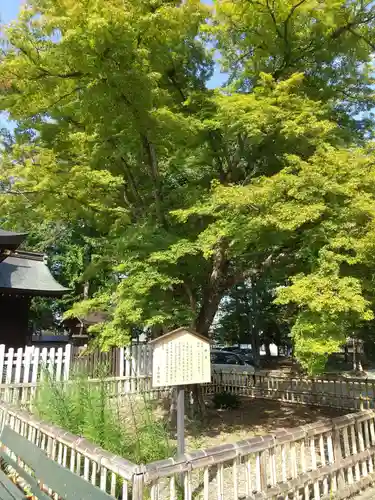 象山神社(長野県)