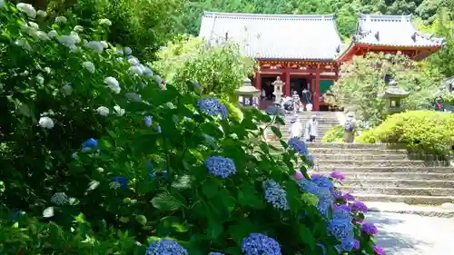 矢田寺のその他建物