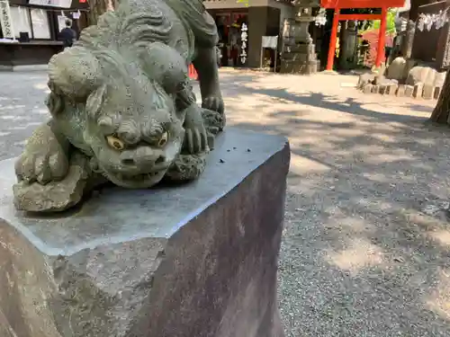 田無神社の狛犬