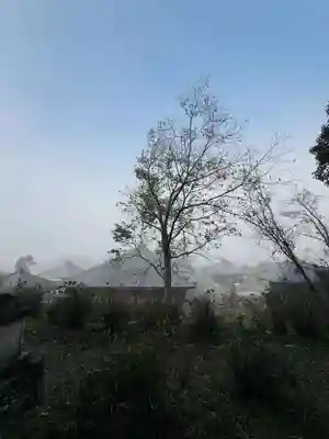 浄土寺(兵庫県)