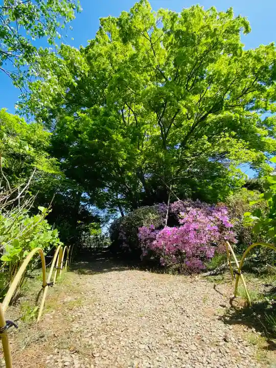 山神社(宮城県)
