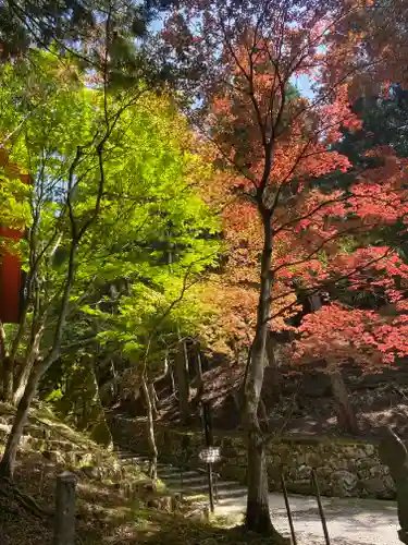 比叡山延暦寺(滋賀県)