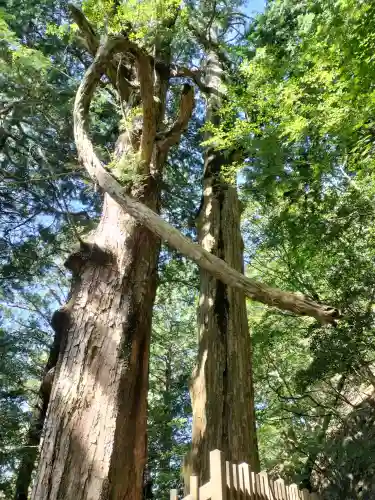 玉置神社の{uncategorized: "未分類", other: "その他", undefined: "問題あり", building: "その他建物", grave: "お墓", sacred_gate: "鳥居", guardian: "狛犬", statue: "像", buddha: "仏像", history: "歴史", nature: "自然", garden: "庭園", animal: "動物", pagoda: "塔", temizu: "手水舎", mountain_gate: "山門・神門", sanctuary: "本殿・本堂", subordinate: "末社・摂社", art: "芸術", scenery: "景色", jizo: "地蔵", ema: "絵馬", goshuin: "御朱印", omikuji: "おみくじ", items: "授与品その他", amulet: "お守り", goshuincho: "御朱印帳", eats: "食事", festival: "お祭り", votive_dance: "神楽", shichigosan: "七五三参", wedding: "結婚式", experience: "体験その他", initially: "初詣", around: "周辺", anti_infection: "感染症対策"}