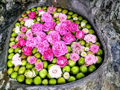 廣田神社～病厄除守護神～(青森県)