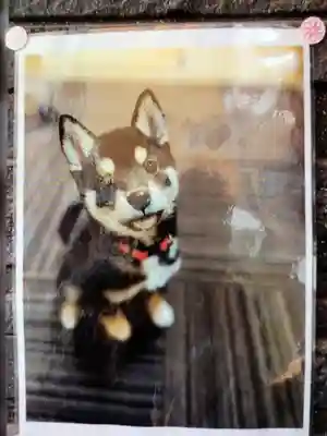 【閉業】小石川大神宮(東京都)