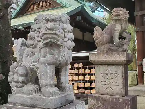 髙牟神社の狛犬