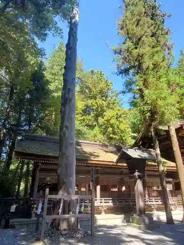 諏訪大社下社春宮(長野県)