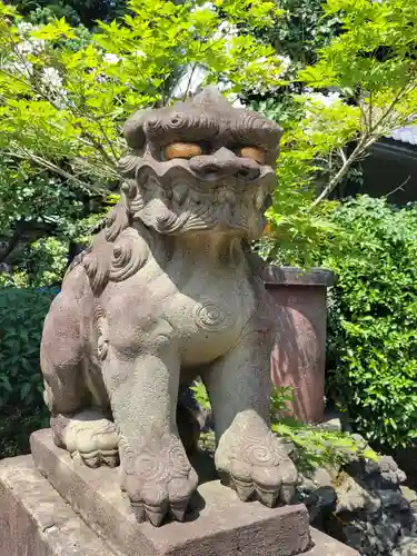 白山神社の狛犬